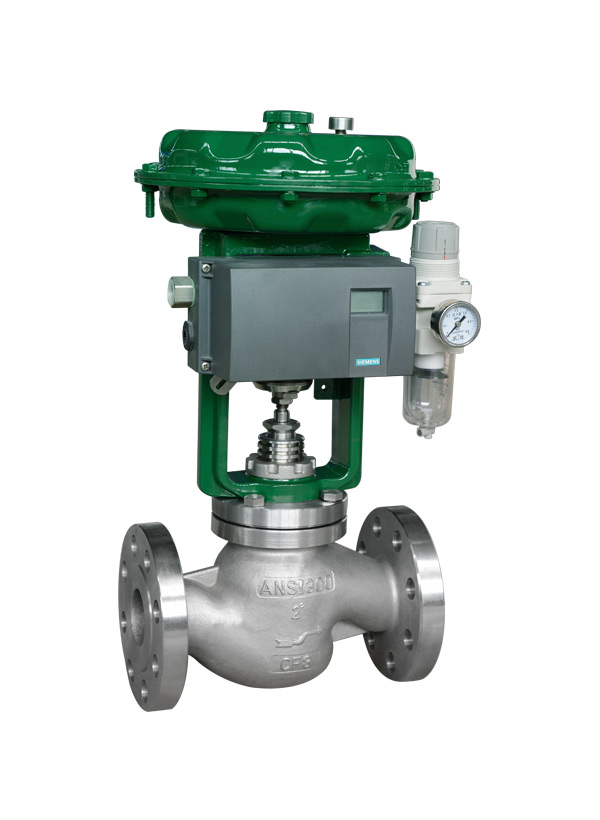 Industrial Globe Control Valve