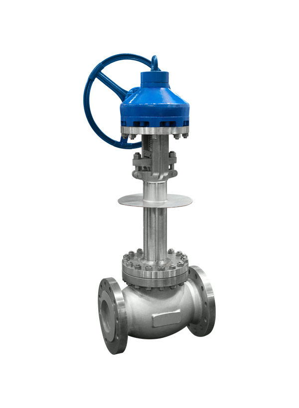 Cryogenic Globe Valve